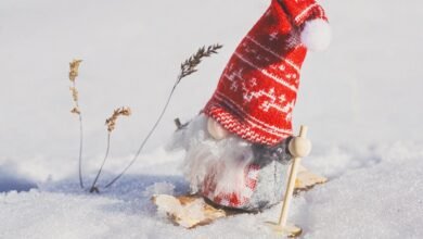 user registration information request