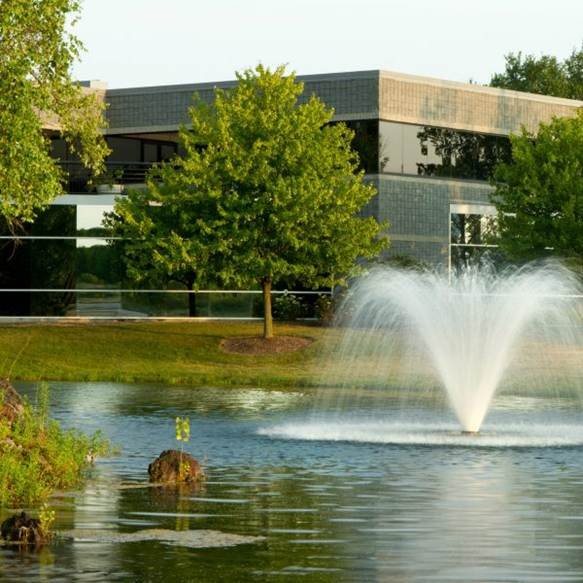 When to Replace Your Fountain Pump and How to Choose a New One