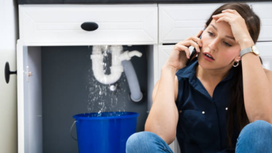 Emergency Plumber in Brookvale: Why Professional Help is Crucial
