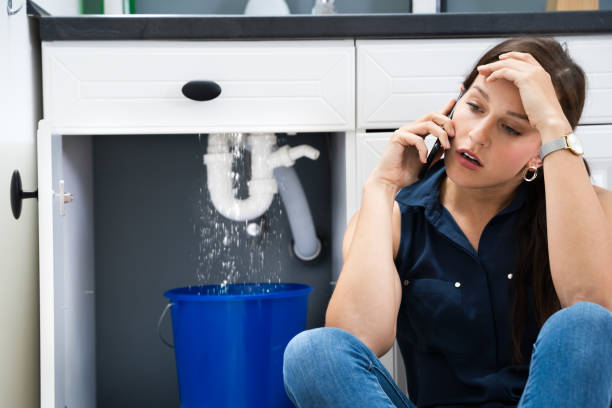Emergency Plumber in Brookvale: Why Professional Help is Crucial