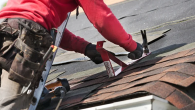 How Roofers Tackle Roof Rot and Prevent Long-Term Damage