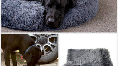 The Timeless Charm of Hand Drawn and Handmade Pet Portraits