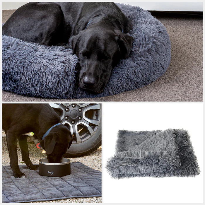 The Timeless Charm of Hand Drawn and Handmade Pet Portraits