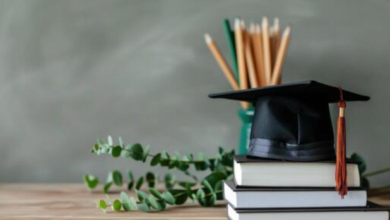 The Evolution of American Higher Education: Navigating Academic Pressures in 2026