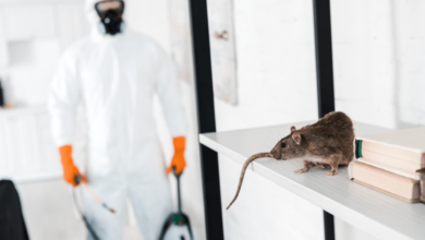 Effective Commercial Pest Control Strategies for Chelmsford Businesses